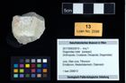 Foto (Objekt + Etikett) von Diogenidae indet  (NHMW-GEO-2017-0093-0010)